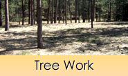 Tree work and tree removal in Monument, Castle Rock, Front Range, Colorado Springs