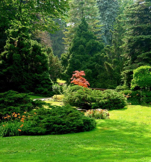 Landscaping Services in Monument, Castle Rock, Colorado Springs, Colorado