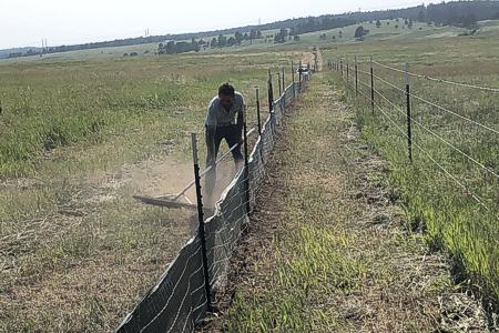 Clik to view full size Installing wired back silt fence in Black Forest, Colorado