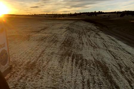 Clik to view full size Seed and straw crimp in Monument, Colorado