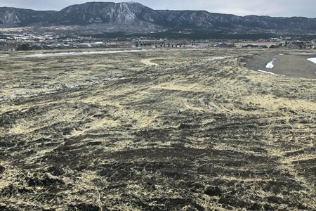 Clik to view full size Seed and straw crimp the new vegetation in Monument, Colorado