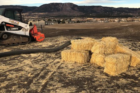 Clik to view full size Seed and straw crimp in Monument Colorado