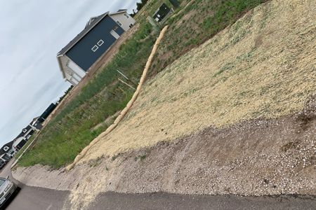 Clik to view full size Erosion control blanket in Black Forest Colorado