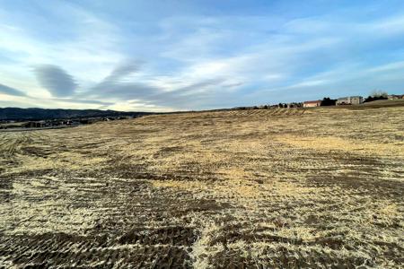 Erosion Control in Monument, Colorado to stabilize the disturbed soil in this pond and to get grass seeds to germinate.