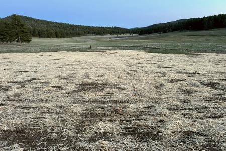 Erosion Control Lake George, Colorado. Installed Seed and straw crimp at a ranch in Lake George to reclaim the areas that were disturbed in making of the new road.