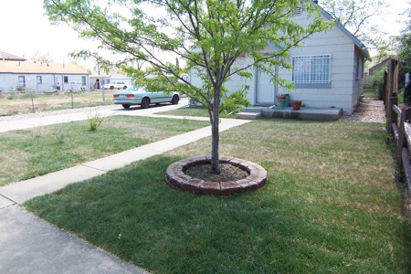 Click to view full size Landscaping Services in Monument, Castle Rock, Front Range, Colorado Springs