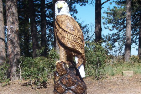 Clik to view full size Commercial and Residential Interior and Special Work in Monument, Castle Rock, Colorado Springs