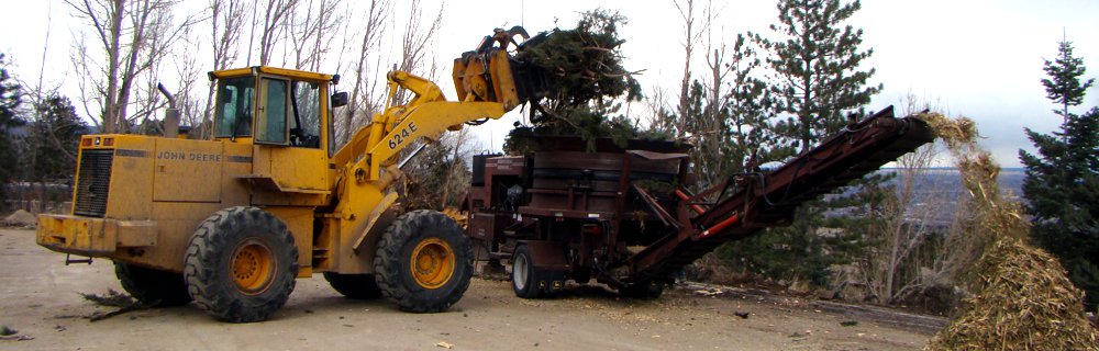 Artificial Turf Lawn, Synthetic Grass, Artificial Turf in Monument, Castle Rock, Front Range, Colorado Springs
