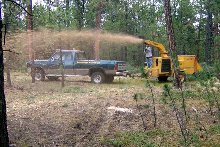 Clik to view full size Tree Care & Tree Removal in Monument, Castle Rock, Colorado Springs