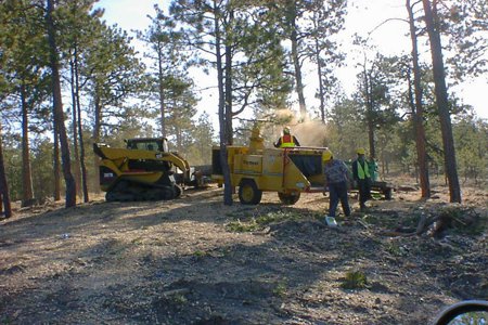 Clik to view full size Tree Care & Tree Removal in Monument, Castle Rock, Colorado Springs