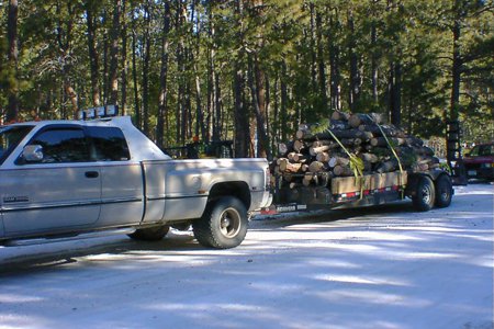 Clik to view full size Tree Care & Tree Removal in Monument, Castle Rock, Colorado Springs
