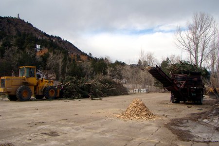 Clik to view full size Tree Care & Tree Removal in Monument, Castle Rock, Colorado Springs