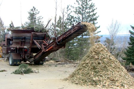 Clik to view full size Tree Care & Tree Removal in Monument, Castle Rock, Colorado Springs