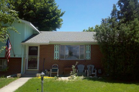 Clik to view full size Tree Care & Tree Removal in Monument, Castle Rock, Colorado Springs