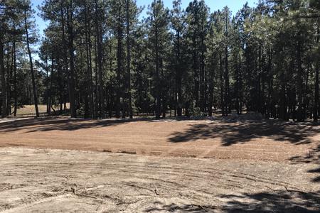 Clik to view full size Tree Care & Tree Removal in Monument, Castle Rock, Colorado Springs