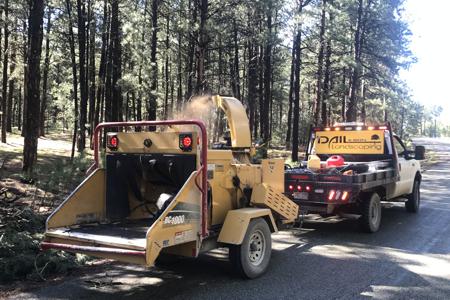 Clik to view full size Tree Care & Tree Removal in Monument, Castle Rock, Colorado Springs