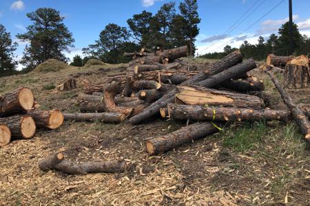 Clik to view full size Cutting in a new road and stump grinding in Black Forest, Colorado