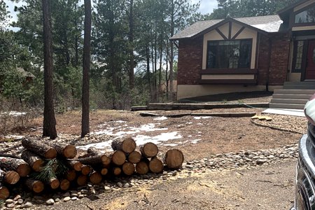 Clik to view full size Fire mitigation in Monument, Colorado