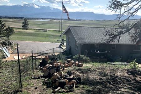 Clik to view full size Cutting down trees for a view corridor for a house in Colorado Springs, Colorado