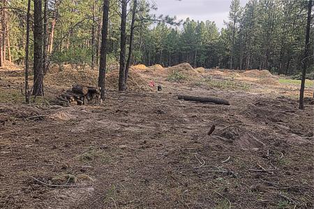 Clik to view full size Removed trees for a new house and a new driveway in Larkspur, Colorado