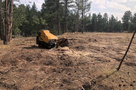 Clik to view full size Stump grinding in Larkapur, Colorado
