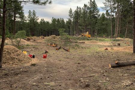 Clik to view full size Tree and stump removal for a house in Larkspur, Colorado